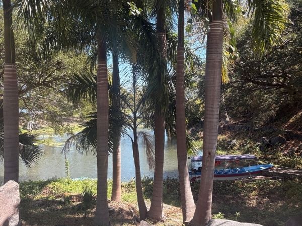 Las Isletas ved Granada i Nicaragua med tropisk natur, palmer og bådtur mellem de små øer