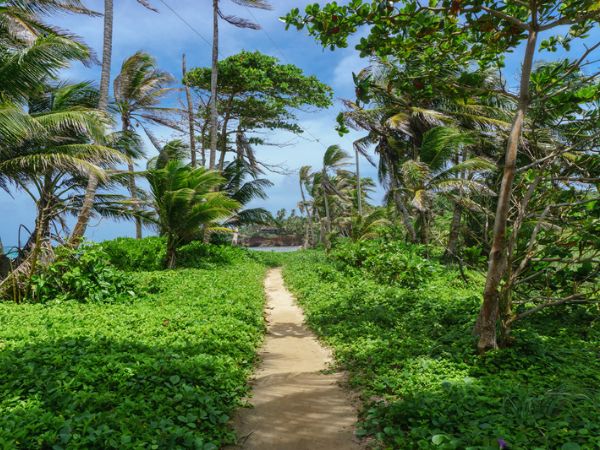 Natursti på den bilfri Little Corn Island i Nicaragua